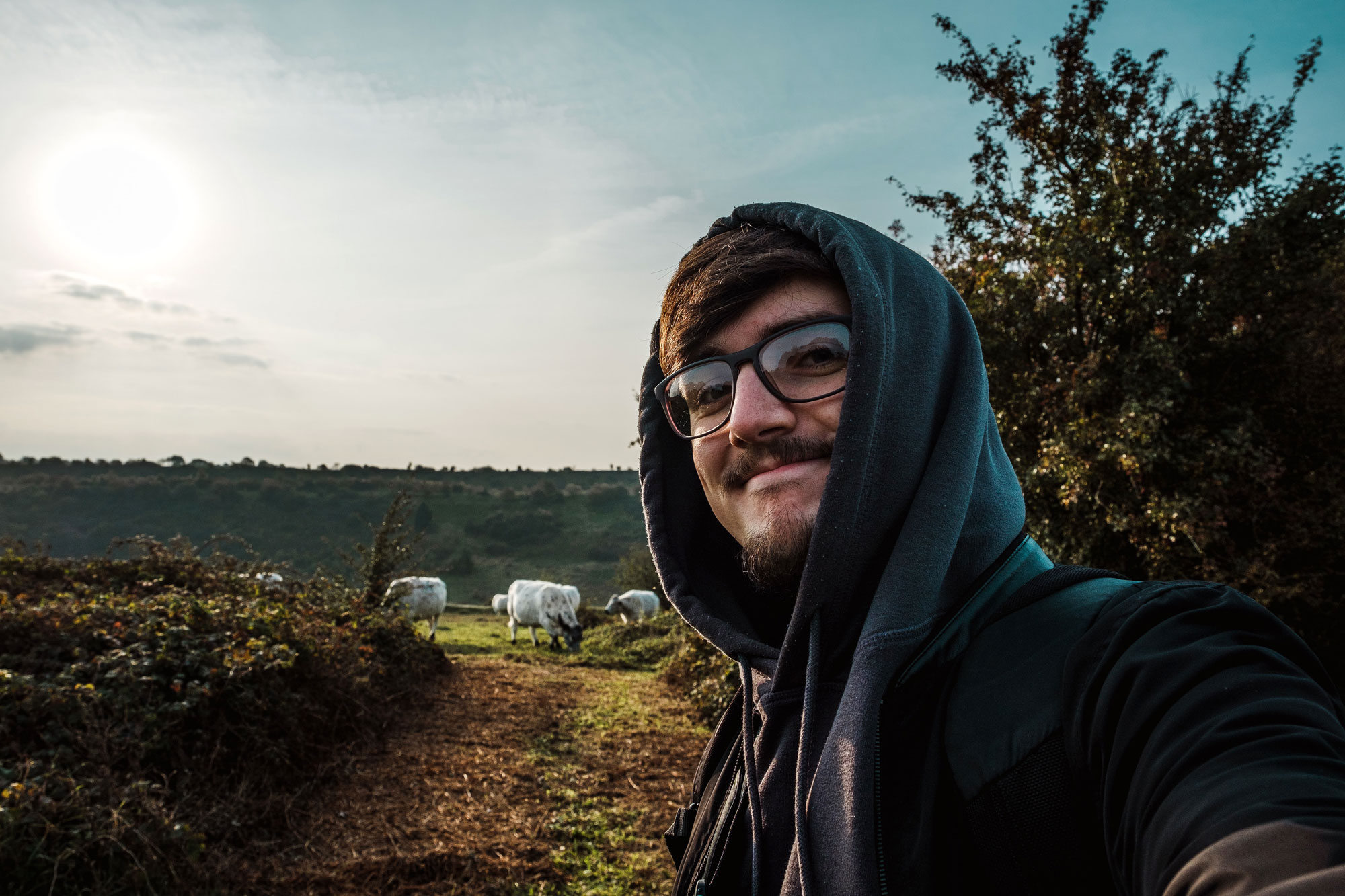 Junger Mann macht ein Selfie von sich und Kühen im Hintergrund auf einer Wiese.