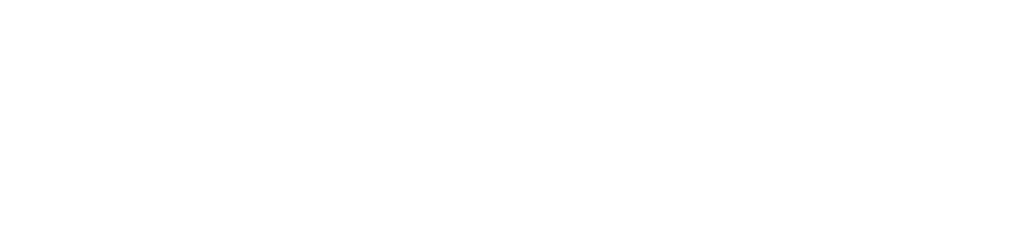 weißes PrivateGuard - powered by Baerkraft logo