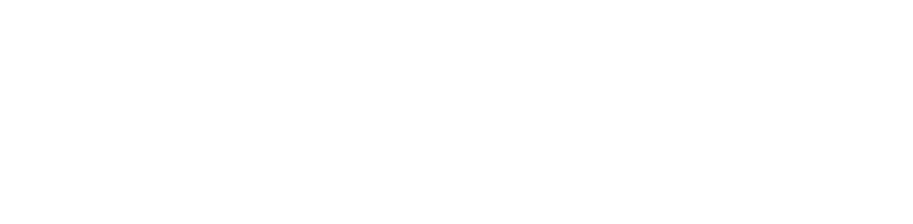 weißes PrivateGuard - powered by Baerkraft logo