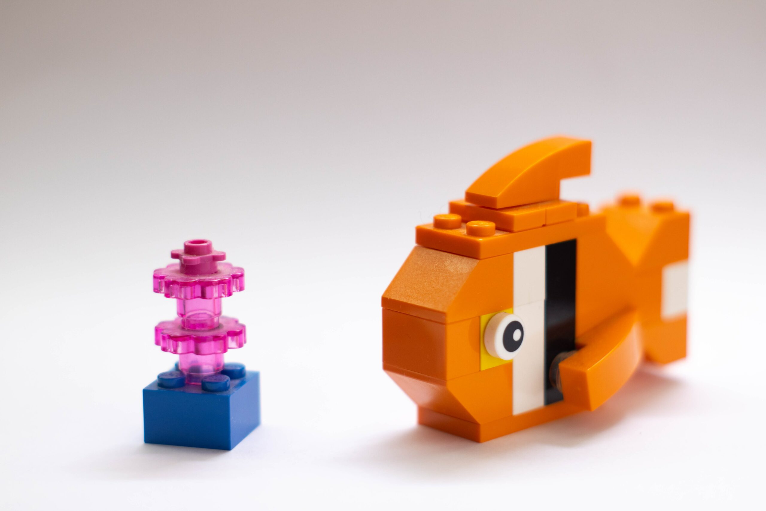 Kleiner orangener Lego Nemo mit Augen und Händen und eine pink-blaue Koralle vor einem weißen Hintergrund.